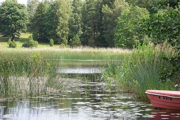 Viele verkrautete Zonen im Uferbereich sind sehr vielversprechend